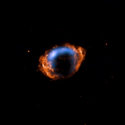 young supernova.jpg (15 KB)